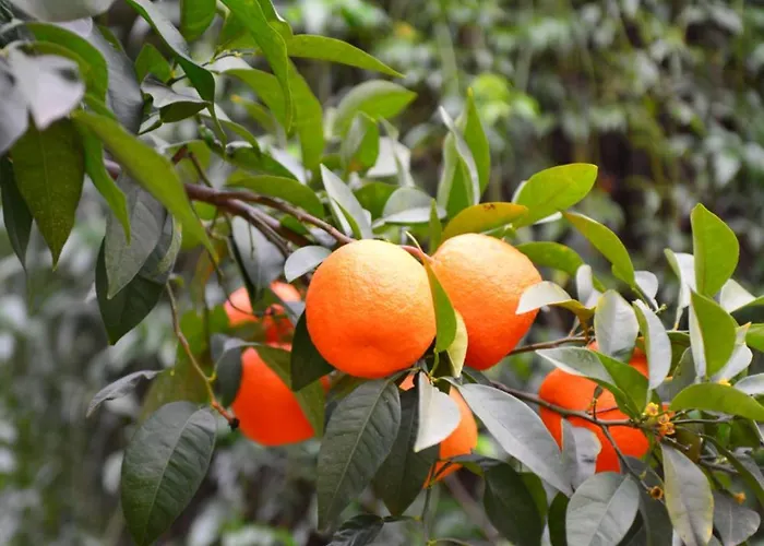 Apartament Puerto Banus Stor Lyxig Duplex Med Garageplats